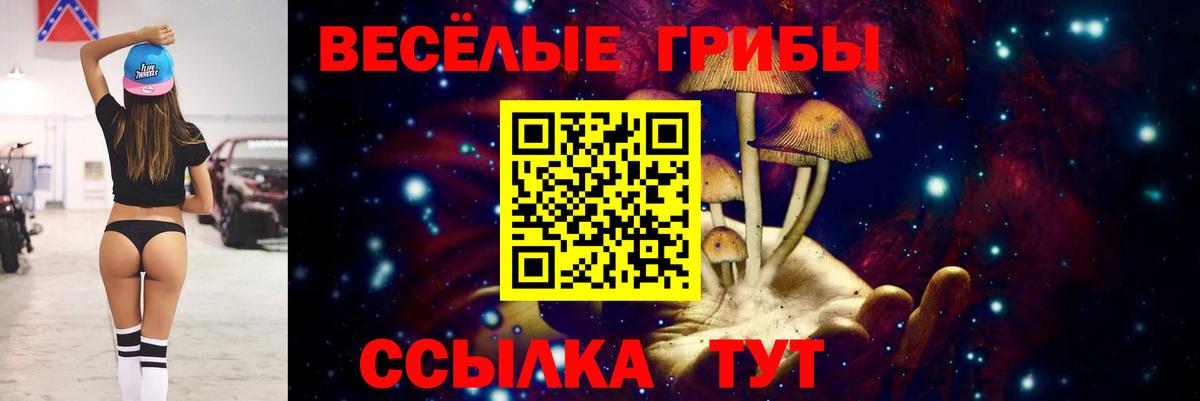 Галлюциногенные грибы Magic Shrooms  Вход с VPN  Новодвинск 